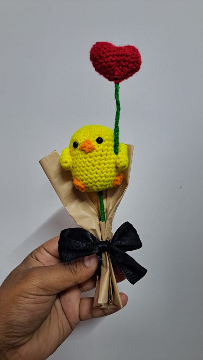 Duck Boquete